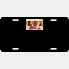 License Plate Thumbnail